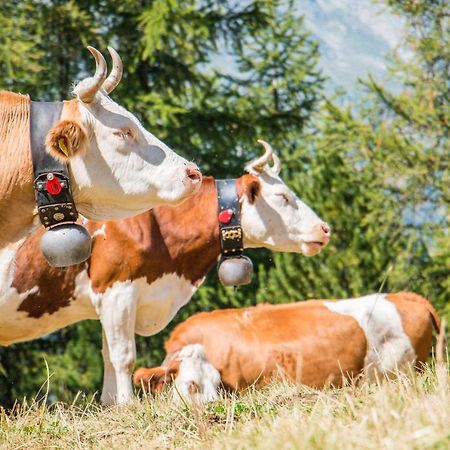 Chalet Heimetli Grächen Zewnętrze zdjęcie