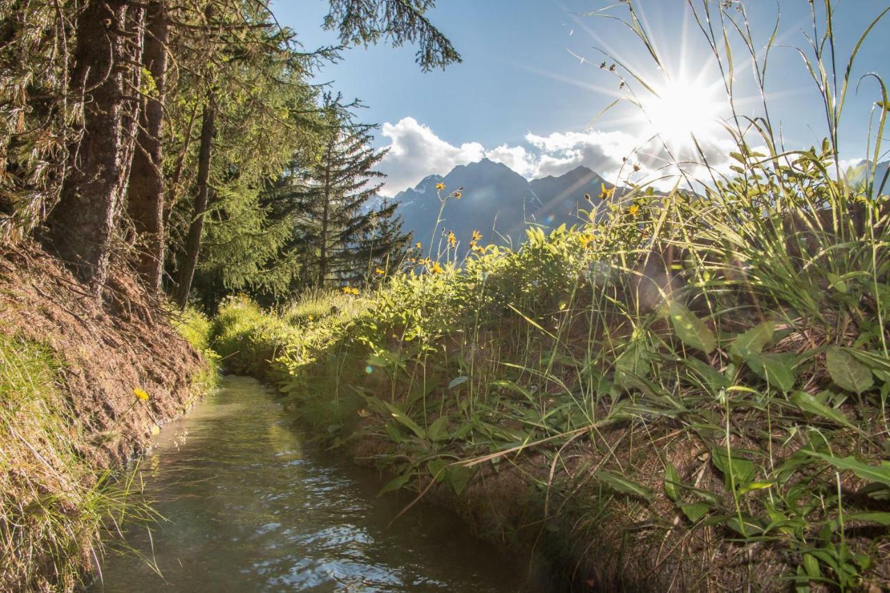 Chalet Heimetli Grächen Zewnętrze zdjęcie